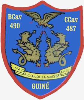 CCav487