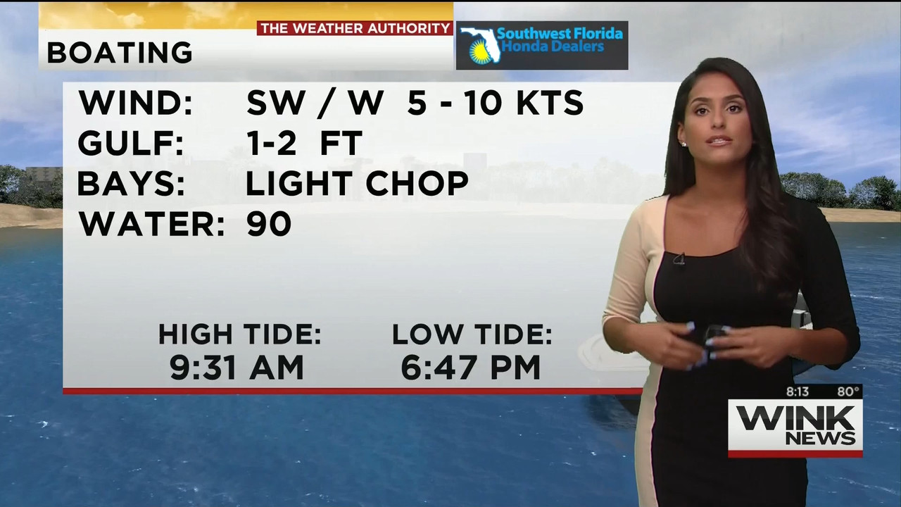 08.16 - 11.00.00 - WINK News @ 6 00AM Sunday..ts_snapshot_00.14.58.643