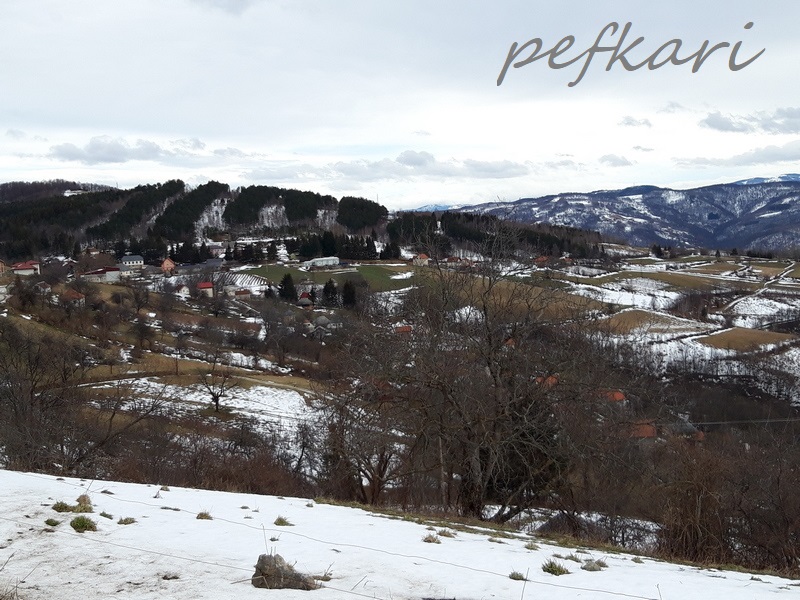 Slika