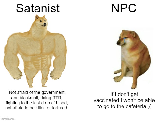 meme1.jpg