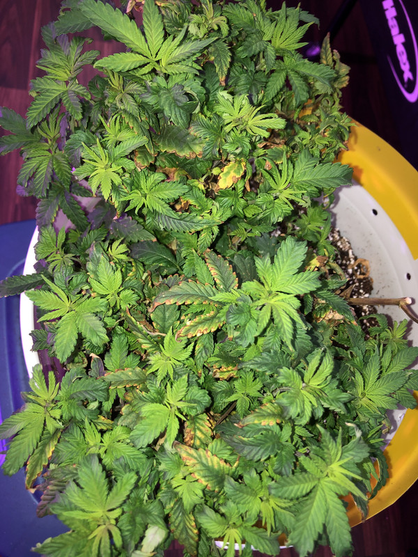 9C803542-7ECC-420B-9166-D40082969CB5