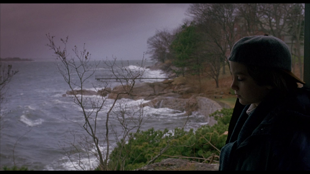 vlcsnap-2023-10-15-23h06m16s534