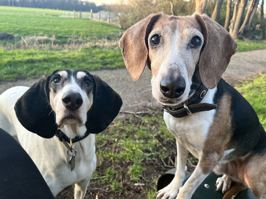 5E9522D3-CDE3-48F5-8E28-F7E32E82997F