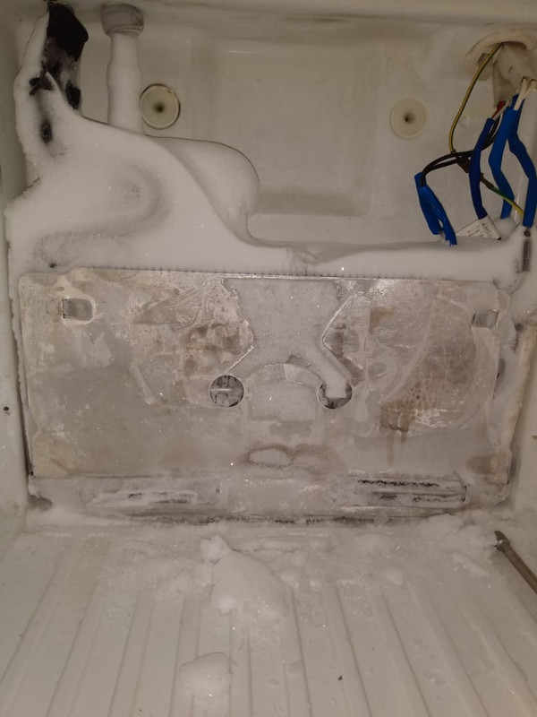 Serviço Especializado