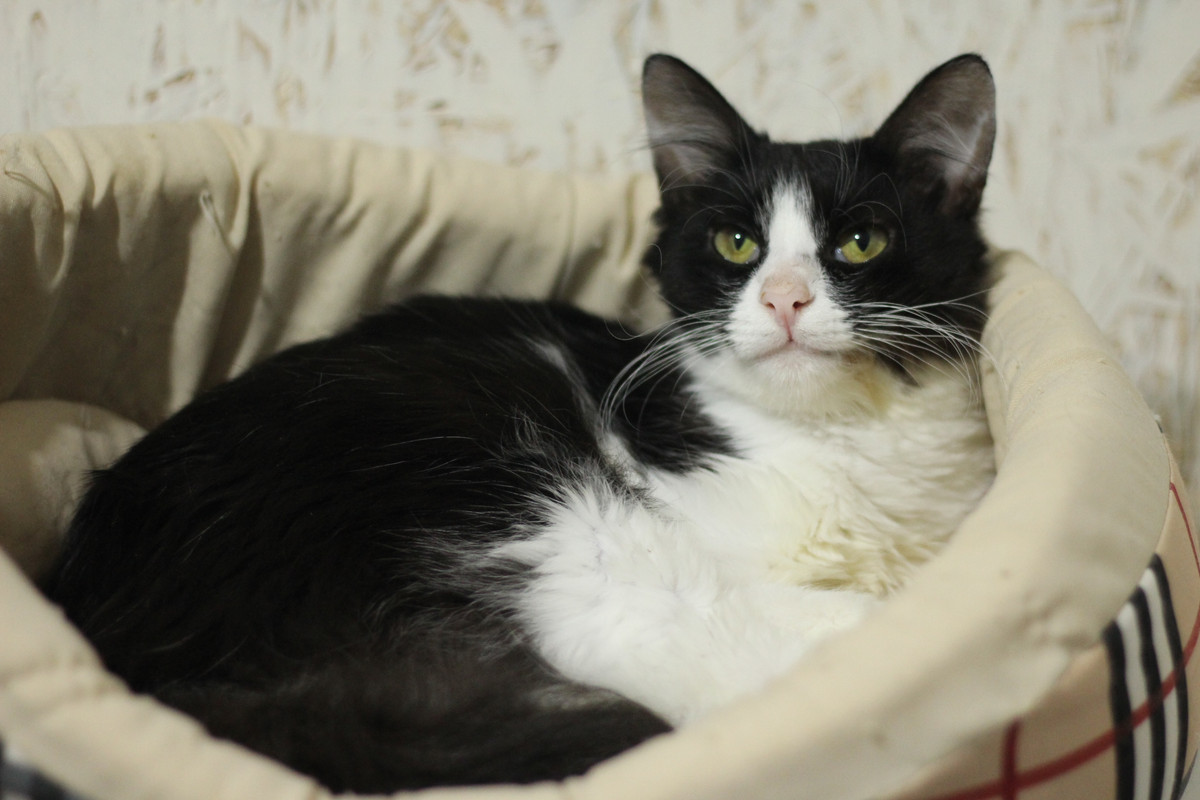 IMG_7209 — копия