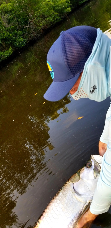 Screenshot_20200608-210947_Gallery