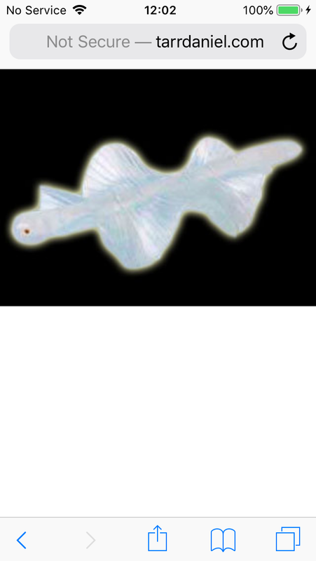 5ABEA36F-C358-48A3-803C-0CD17D57C499