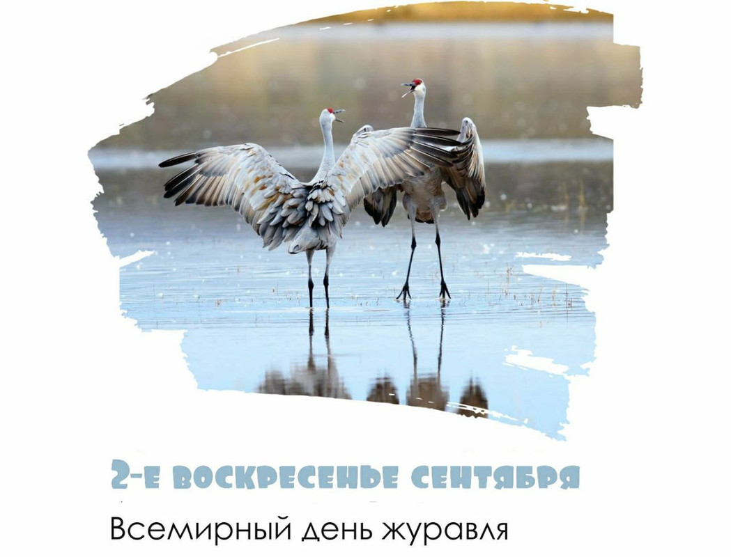 IMG_20230910_114437_528