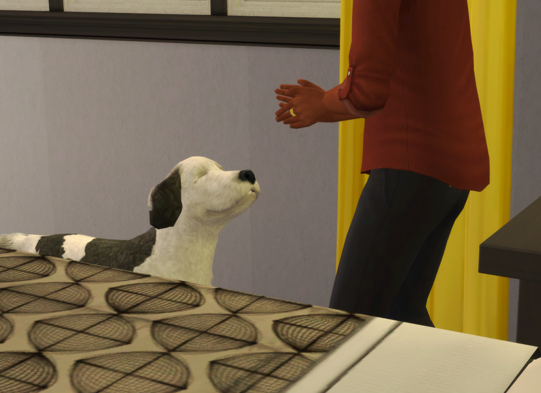 Sims2-EP9-RPC-2024-04-21-21-14-08-80