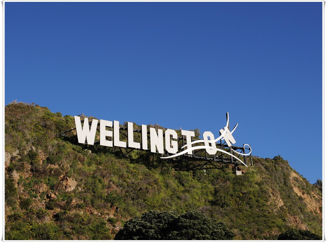 Wellington más allá del Te Papa y el Cable Car - Escapadas y rutas por la Nueva Zelanda menos conocida (2)