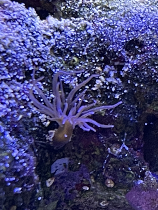 C164E5FD-A3D9-4BF7-91EC-22011C745FB9