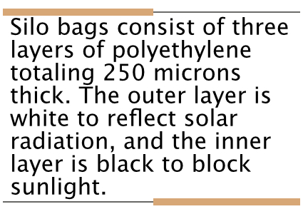 Grain Ops_Pull quote