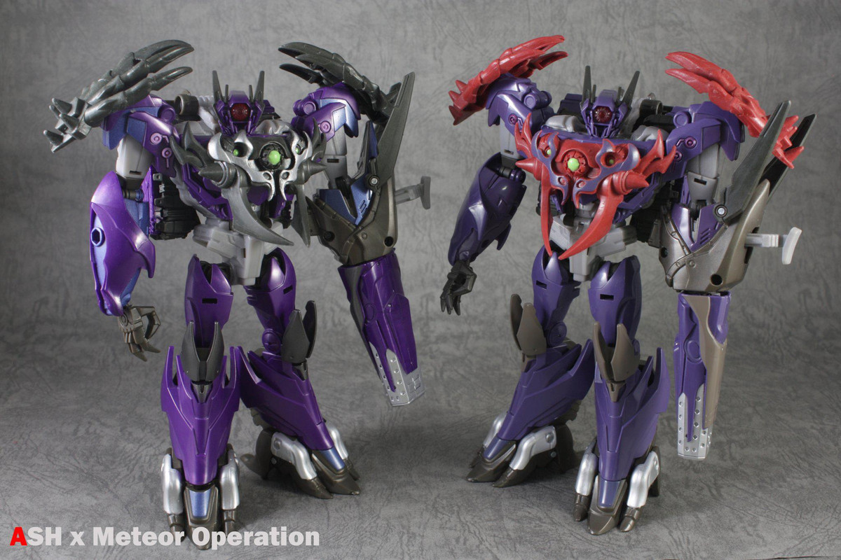 919462_321645197962892_1093823313_o