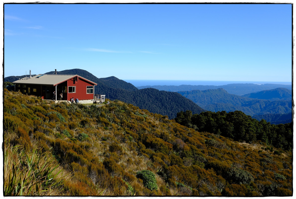 Paparoa NP: Paparoa Track (diciembre 2024) - Escapadas y rutas por la Nueva Zelanda menos conocida (24)