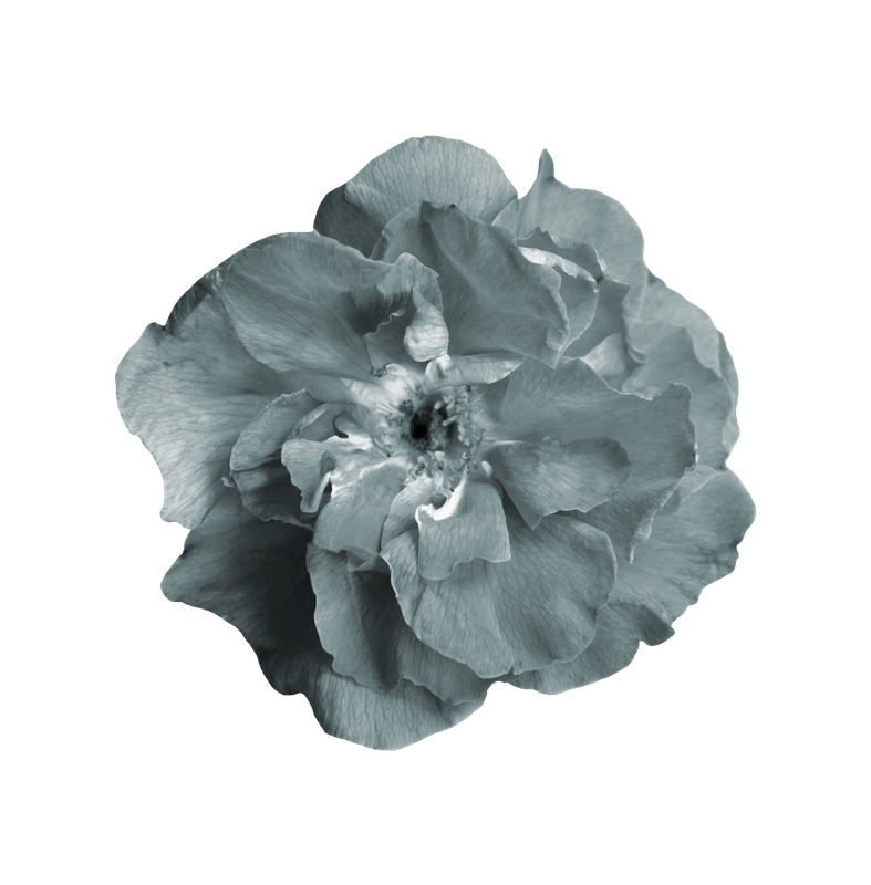 Maguette_NothingFades_el (20)