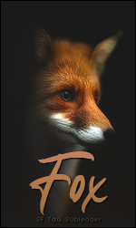 fox1.png
