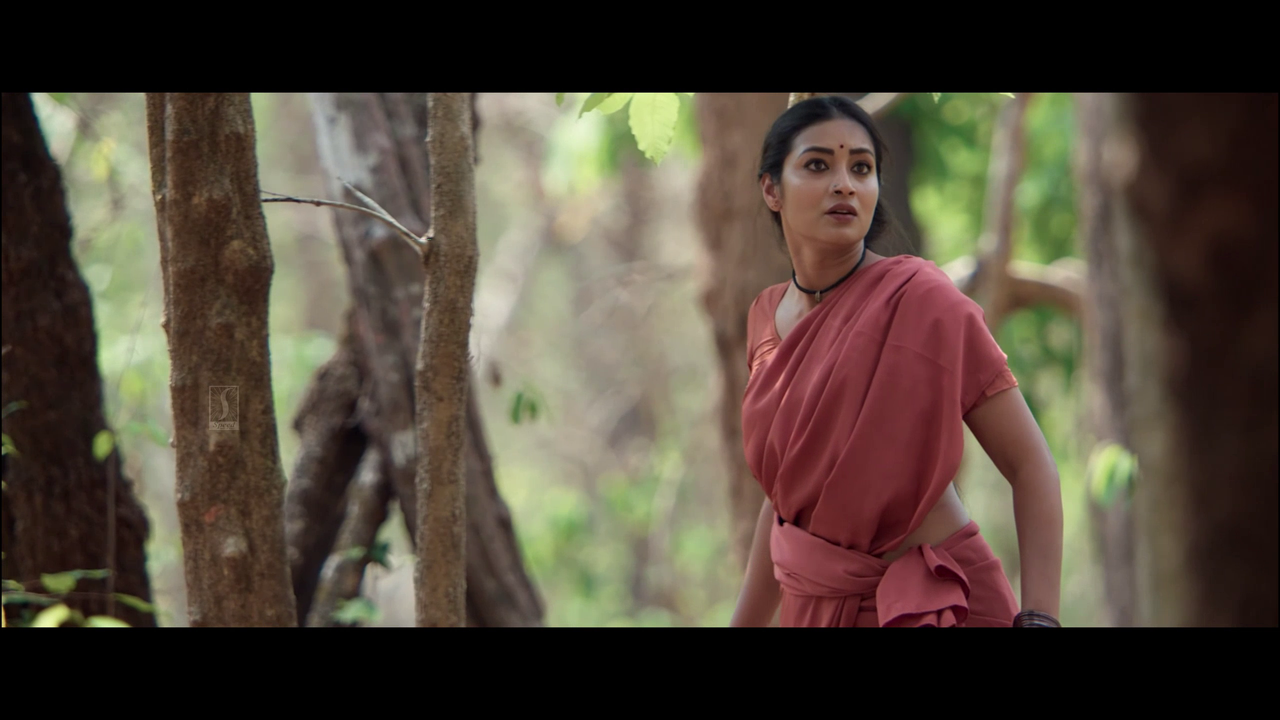 vlcsnap 2025 11 02 13h50m43s351