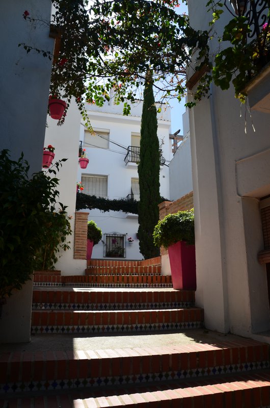 ESTEPONA-9-3-2017 - Málaga y sus pueblos-2009/2017 (87)