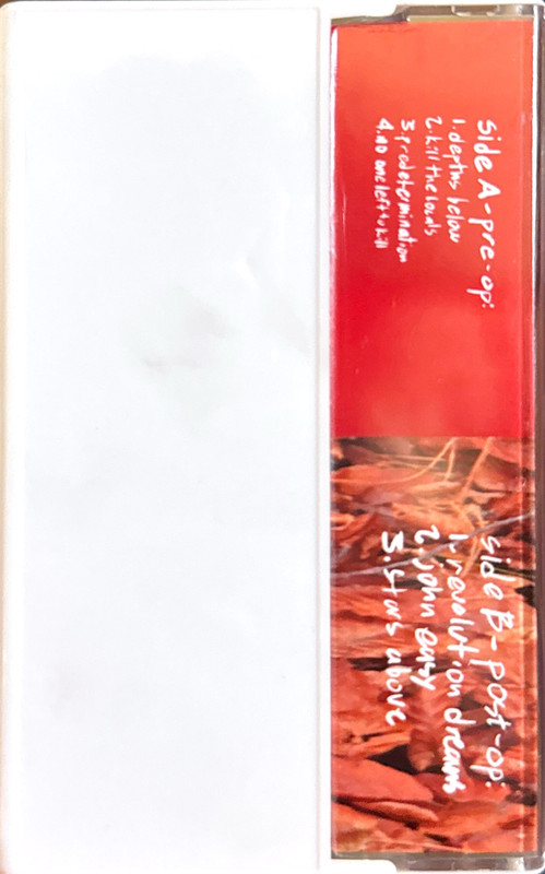 Pre-Op Post-Op Split by Sister Wife Sex Strike - Back Side