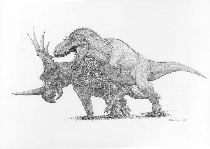 89584297d7dc3be05691f6cd5af10802