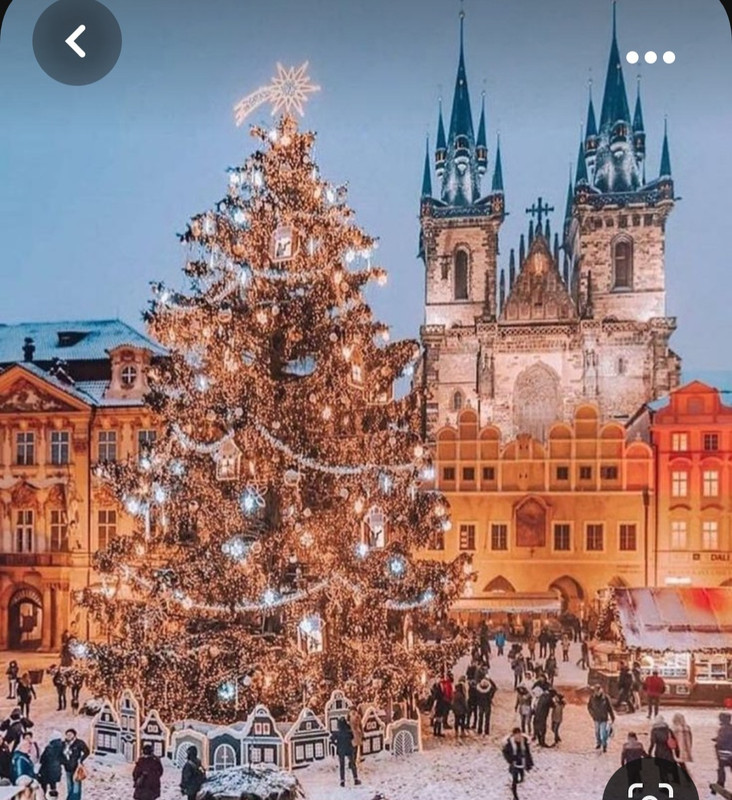 Screenshot_20231007_212429_Pinterest