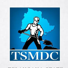 TSMDC