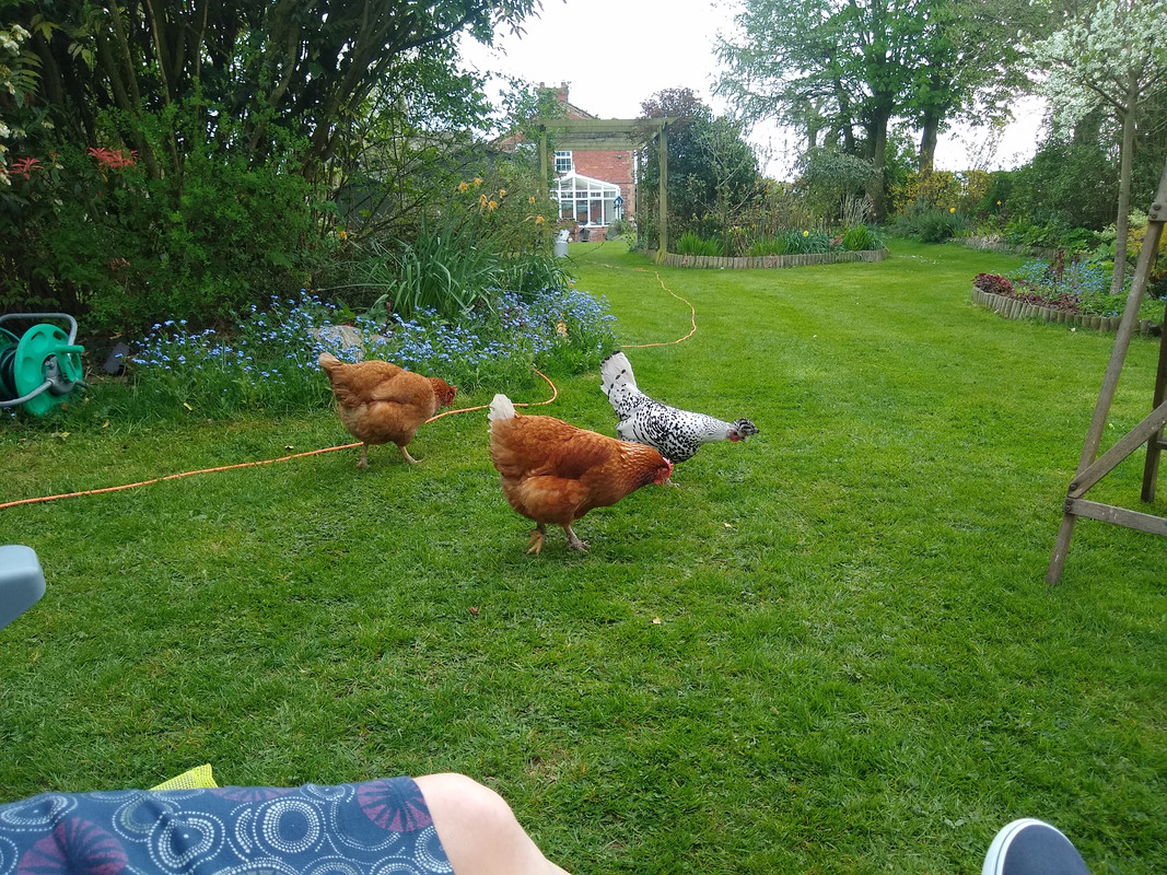 IMG_20200412_161220100