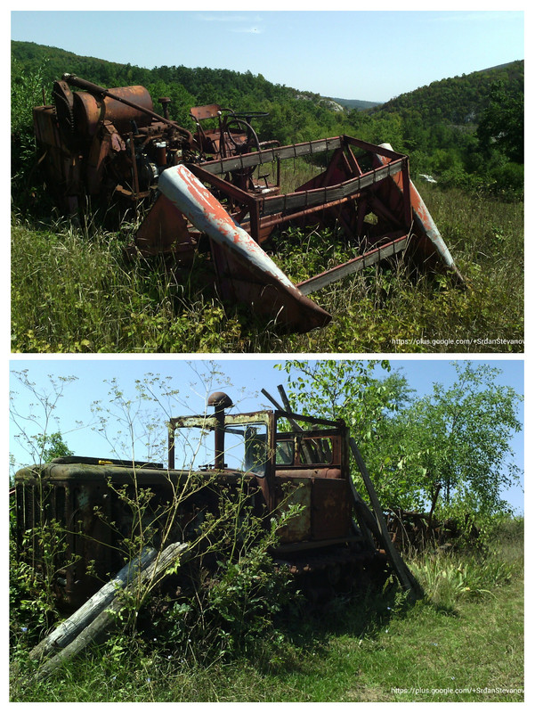 20250929-023121-COLLAGE.jpg