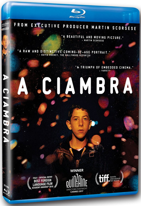 A Ciambra (2017) HDRip 1080p DTS ITA + AC3 Sub Eng - DDN A Ciambra (2017) HDRip 1080p DTS ITA + AC3 Sub Eng - DDN