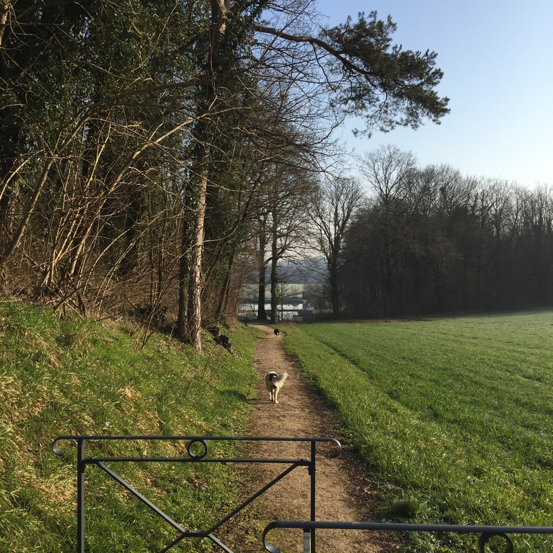 2F3F91D0-1D21-4B8D-9DDB-38309521E9A5