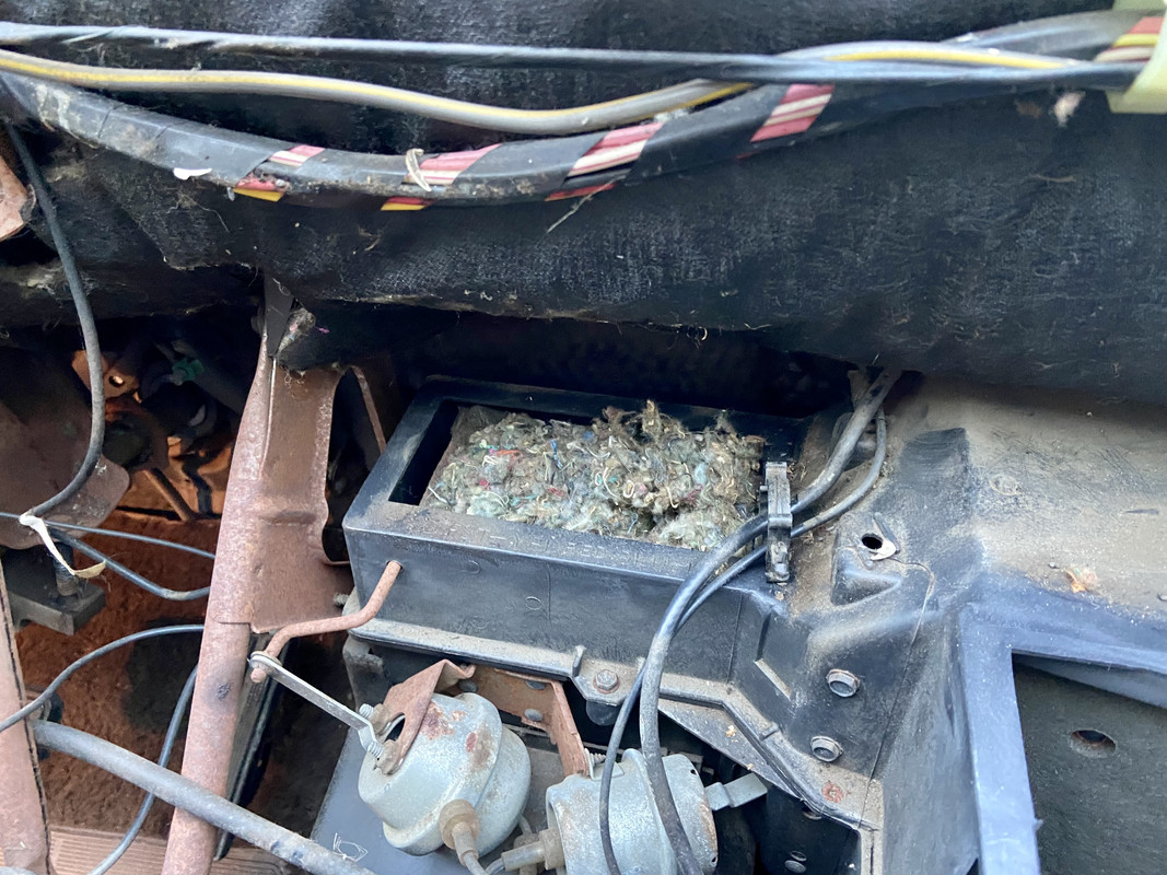 888E7227-3553-4BA7-95FE-4C6DDA469AB7