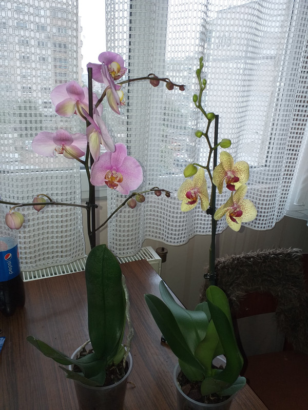 20190408_181608