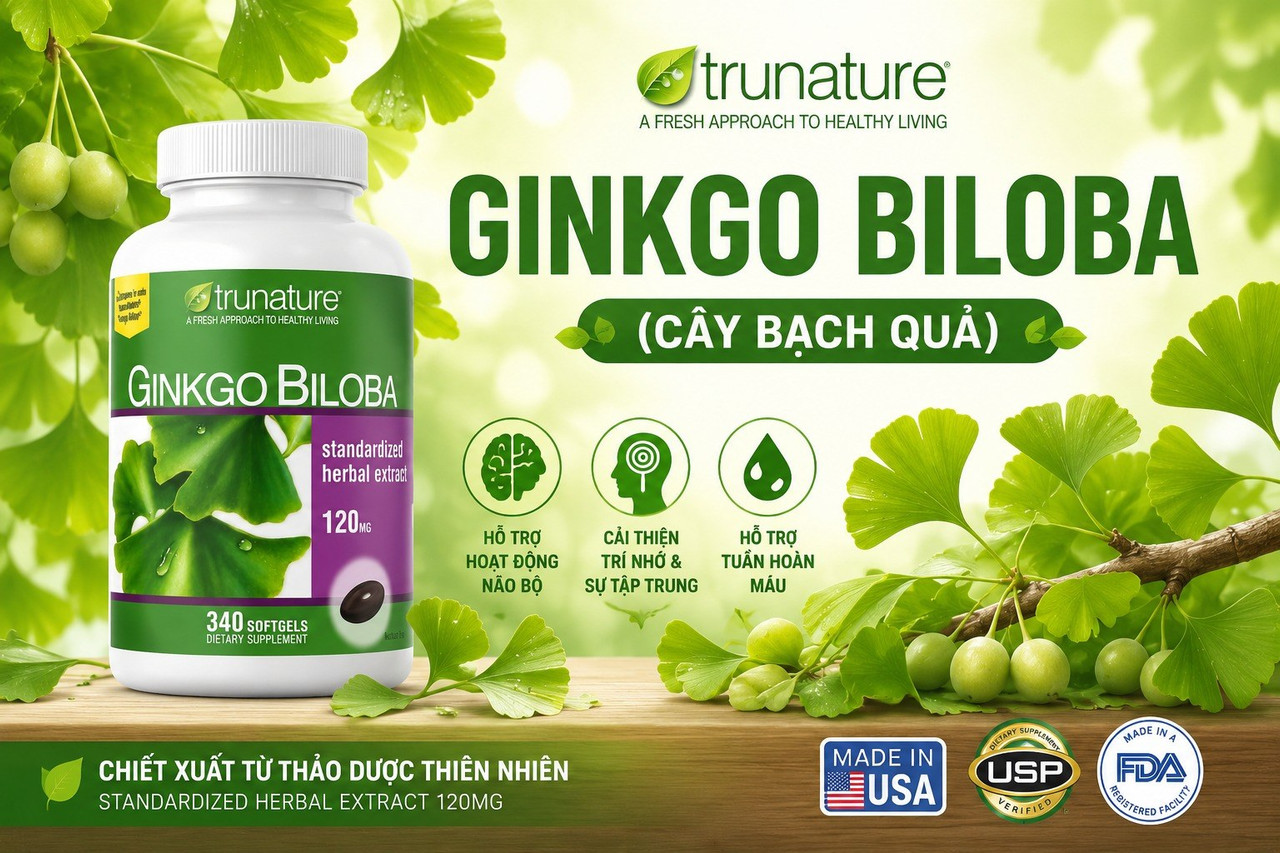 [Hình ảnh: ginkgo-biloba-la-gi-cay-bach-qua.jpg]