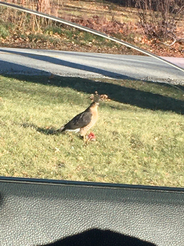 E860A526-E636-4A33-95EE-2988969442EB