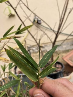 DDCAC3F2-7107-4067-9F9A-F54A088C852C