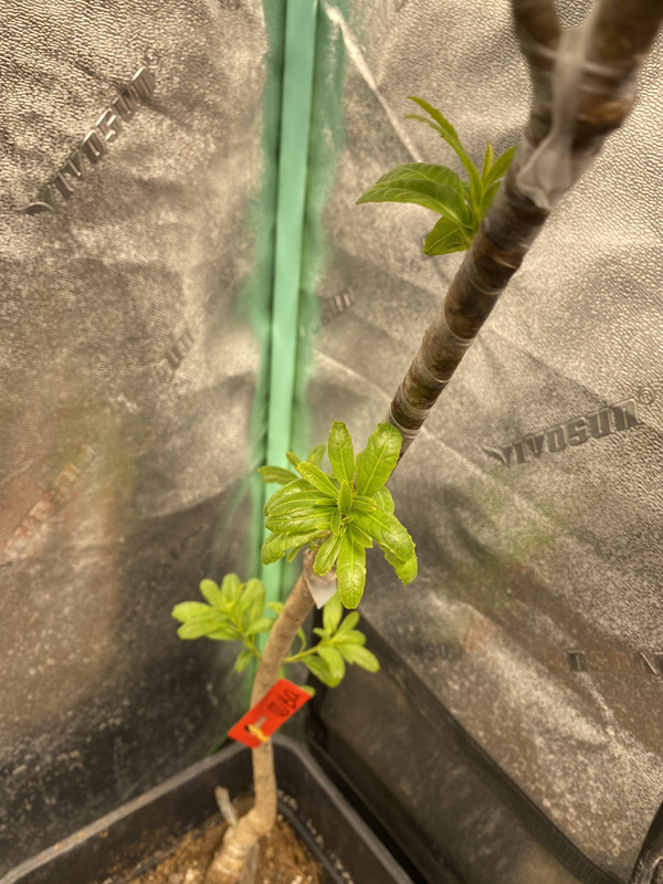 AC506A82-F257-4E2C-929B-C06224CD6C35