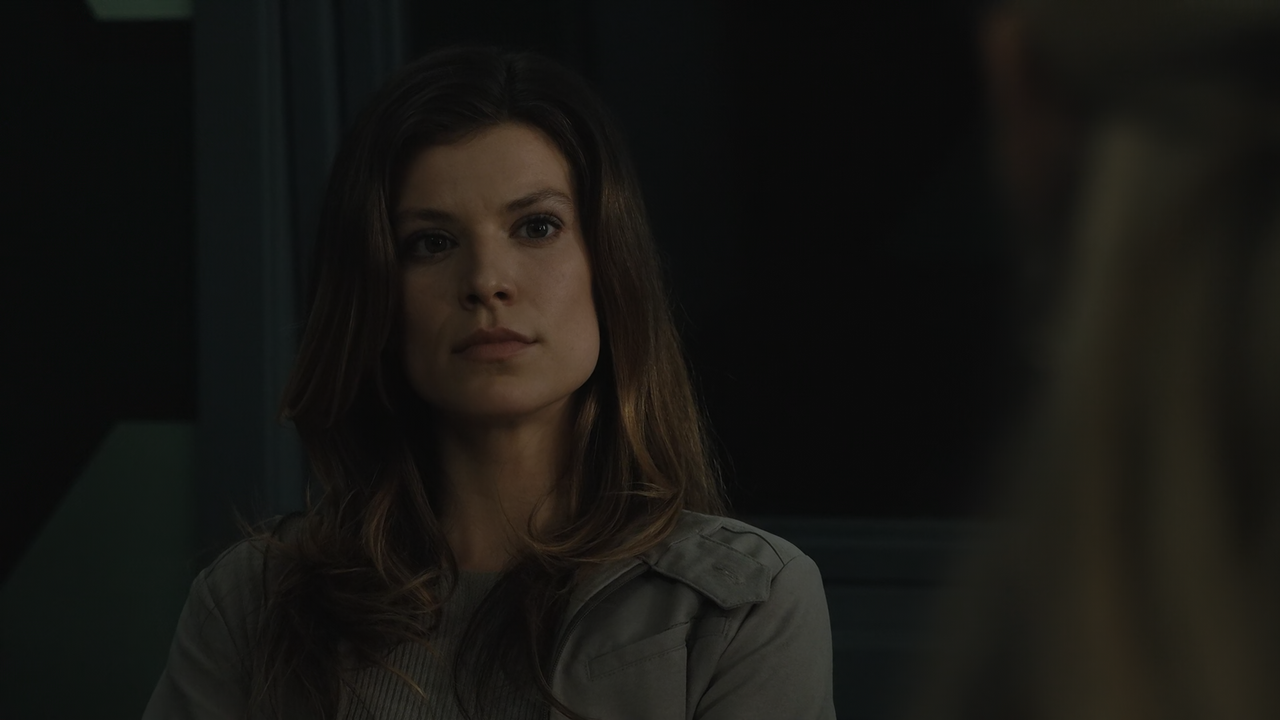 FBI.International.S02E21.Fed.to.the.Sharks.1080p.10bit.AMZN.WEB-DL.DDP5.1.HEVC-Vyndros.mkv_snapshot_