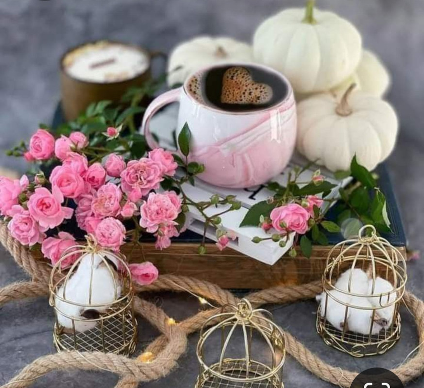 Screenshot_20230329_235535_Pinterest