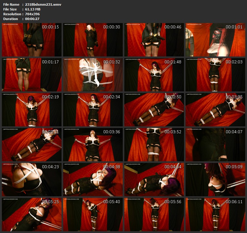 231Bbdsmm231.wmv