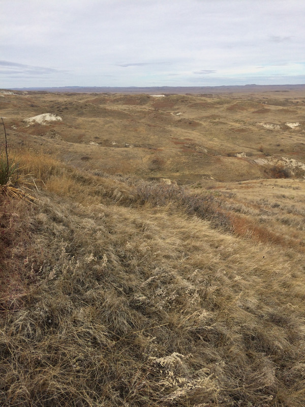 EDABB2A1-4727-448F-8453-07231148AE7F