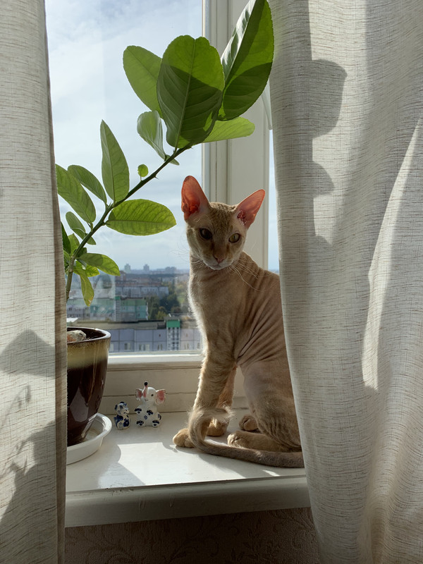 B8E49C7B-844A-4E9E-817F-CFAB2D2C0FF5