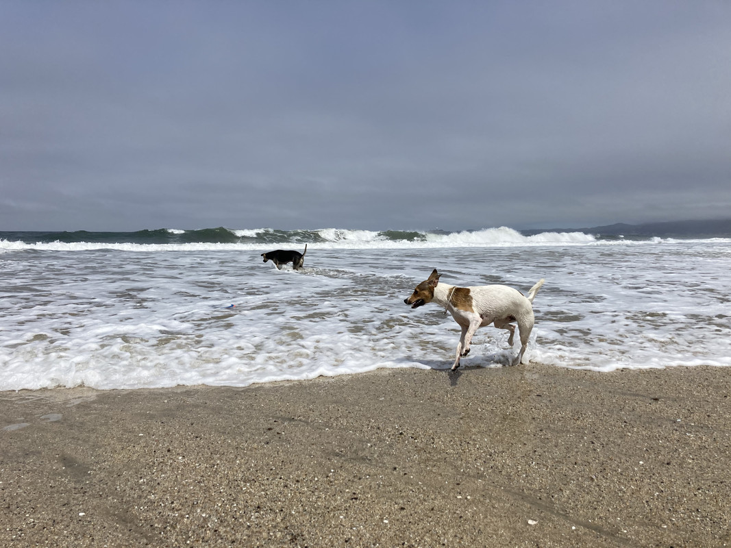 3C7A9BE0-5FC2-4BAB-A1E3-F698433FF4FC