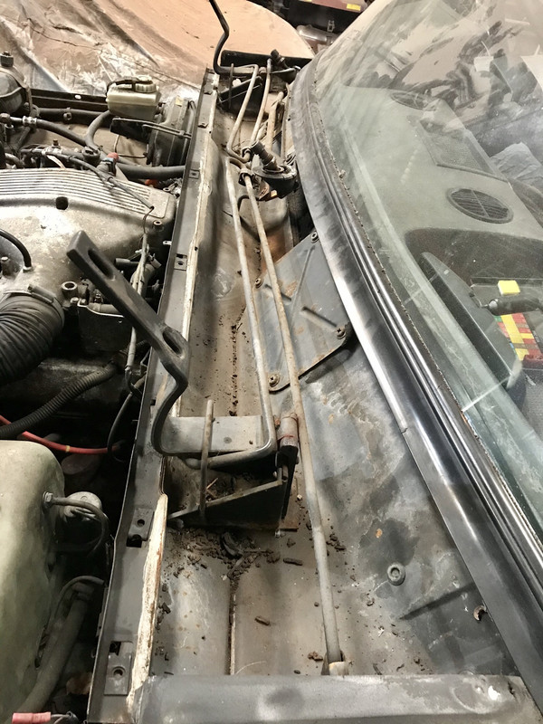 BD794D33-8043-4E7F-B8BC-D82EC196E9CC