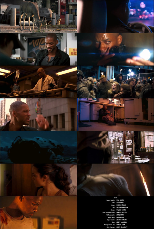 I Am Legend (2007) 1080p | 720p | 480p BluRay [Hindi (हिन्दी) + English] DD5.1 ESub