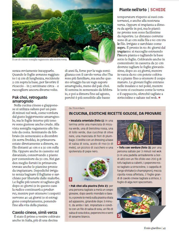 il mio Giar Feb-Mar 2024 (4)