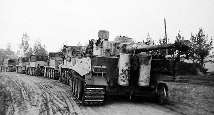 Tiger I 321 du s Pz Abt 502 est remorqué par 5 half tracks Famo près du lac Ladoga dans le secteu