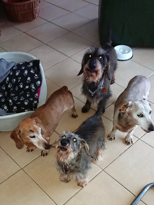 [Image: DSC-2470.jpg]