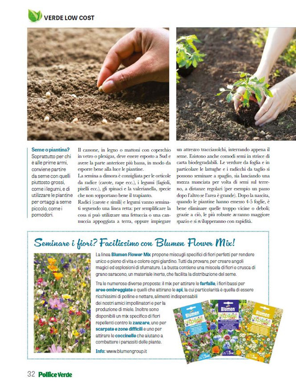 Pol Ver Mar 2025 (8)