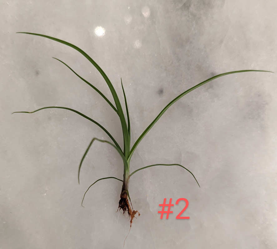 PXL_20220728_234446453.MP~2