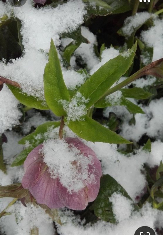 Screenshot_20231019_201934_Pinterest